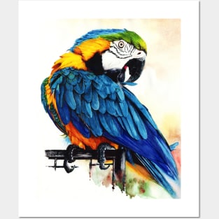 Jinx - Blue Gold Macaw painting Posters and Art